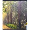 Image 3 : Framed Forest Path Canvas Print Wall Art