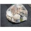 Image 13 : Lot Holiday Soap Dispensers, Measuring Cups, Pencils, Corkscrew, Ornaments & Shells