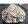 Image 14 : Lot Holiday Soap Dispensers, Measuring Cups, Pencils, Corkscrew, Ornaments & Shells