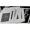 Image 3 : Nature Photographs, Slides, and Charles Waltner Etching