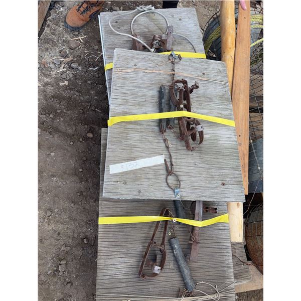 Metal Animal Traps with Wooden Stakes and Chains, Approx 8 Pieces