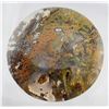 Image 1 : Moss Agate (48.1 ct, 35 mm)