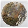 Image 2 : Moss Agate (48.1 ct, 35 mm)