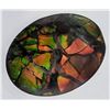 Image 1 : Ammonite (6 ct, 12×10 mm)