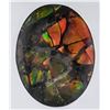 Image 2 : Ammonite (6 ct, 12×10 mm)