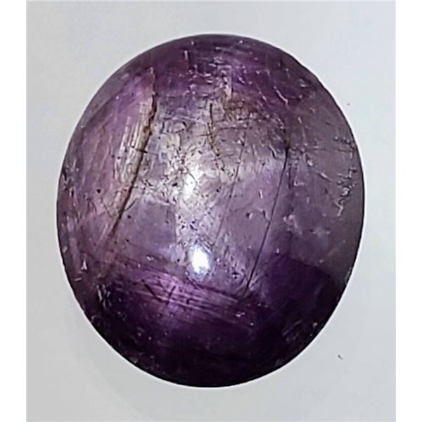 Star Garnet (33.6 ct, 21×11 mm)