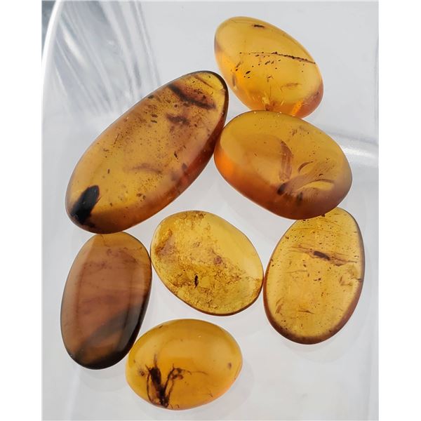 Burmese Amber (60.6 ct, 34×17 mm Assorted)