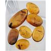 Image 1 : Burmese Amber (60.6 ct, 34×17 mm Assorted)