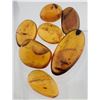 Image 2 : Burmese Amber (60.6 ct, 34×17 mm Assorted)
