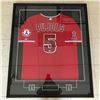 Image 1 : ALBERT PUJOLS SIGNED AND FRAMED LOS ANGELES JERSEY MLB COA