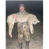 Image 2 : Nighttime Varmint Hunt for 3- West Texas