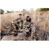 Image 1 : Coues Deer Hunt for 1- Sonora Mexico