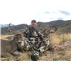 Image 2 : Coues Deer Hunt for 1- Sonora Mexico