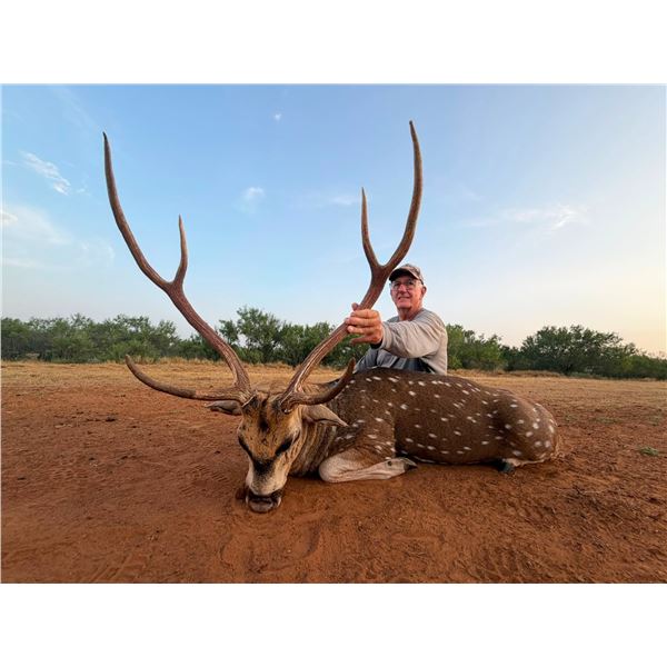 Trophy Axis Hunt for 1- Pearsall, Texas