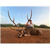 Image 1 : Trophy Axis Hunt for 1- Pearsall, Texas