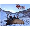 Image 1 : 5 Day Rifle Bull Elk Hunt- GMU 66 Colorado Landowner Voucher