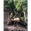 Image 2 : 5 Day Rifle Bull Elk Hunt- GMU 66 Colorado Landowner Voucher