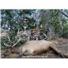 Image 3 : 5 Day Rifle Bull Elk Hunt- GMU 66 Colorado Landowner Voucher
