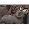 Image 2 : Desert Big Horn Sheep Hunt for 1- Sonora, Mexico