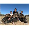 Image 2 : Rio Grande Spring Turkey Hunt for 2- Texas