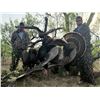 Image 3 : Rio Grande Spring Turkey Hunt for 2- Texas