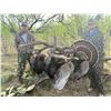 Image 4 : Rio Grande Spring Turkey Hunt for 2- Texas