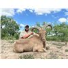 Image 1 : Aoudad Hunt for 1 Hunter- Medina, Texas