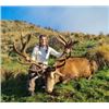 Image 1 : 3 Day Red Stag Hunt 400"-450" SCI for 1 Hunter- New Zealand