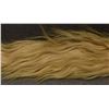 Image 8 : MEXICAN  HORSE HAIR QUIRT