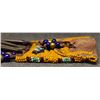Image 7 : SIOUX BEADED BAG