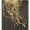 Image 3 : NATIVE AMERICAN PIPE BAG