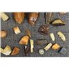Image 10 : FOSSILIZED IVORY