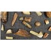 Image 11 : FOSSILIZED IVORY
