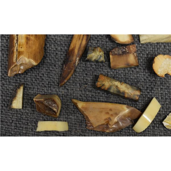 FOSSILIZED IVORY