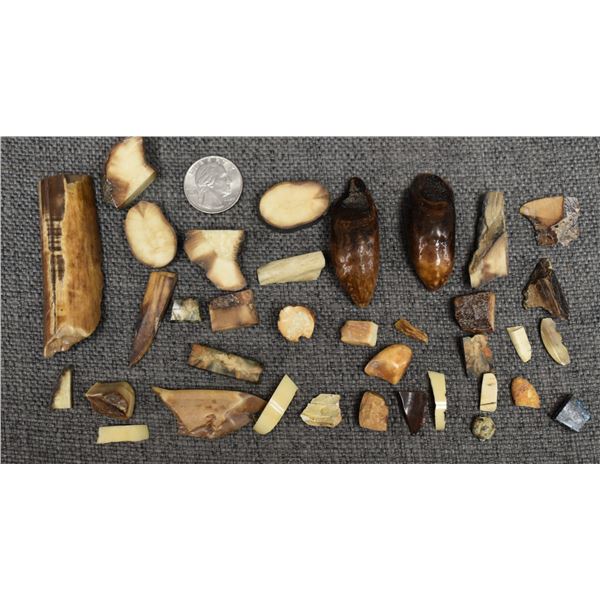 FOSSILIZED IVORY