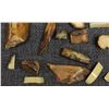 Image 1 : FOSSILIZED IVORY