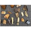 Image 3 : FOSSILIZED IVORY