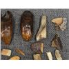 Image 4 : FOSSILIZED IVORY