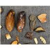 Image 9 : FOSSILIZED IVORY