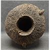 Image 5 : APACHE BASKETRY TUS