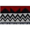Image 12 : PENDELTON WOOL BLANKET AND BOOK