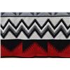 Image 14 : PENDELTON WOOL BLANKET AND BOOK