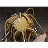 Image 6 : APACHE BURDEN BASKET (CAROLINE HENRY)