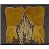 Image 9 : PLATEAU GAUNTLET