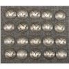 Image 1 : TWENTY DOMED SILVER QUARTERS