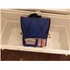 Image 3 : igloo cooler and portable collapsible cooler