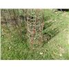 Image 2 : tomato cages