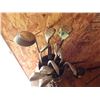 Image 1 : golf clubs and bag