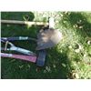 Image 2 : axe, Short handled spade, Sledgehammer and hedge trimmers