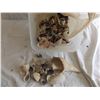 Image 1 : collection of seashells